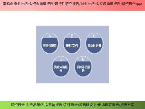 滄州市項(xiàng)目招投標(biāo)書(shū)產(chǎn)業(yè)規(guī)劃ppt資金申請(qǐng)報(bào)告ppt投資亮點(diǎn)